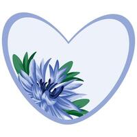 template for a valentine or card in the shape of a heart with a floral design, namely a blue cornflower design vector