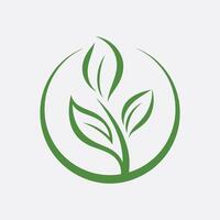 leaf ecology nature element vector