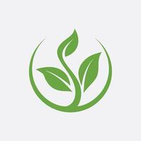 leaves green logos design with gradient vector