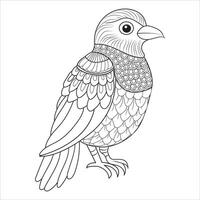 Decorative Bird with Intricate Feather Patterns Outline for Coloring vector