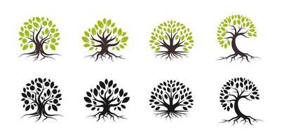 Geometric Tree Logo and Icon Collection with root in black and colorful style vector