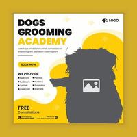Dog grooming training academy social media post design or pet business web square post banner template vector