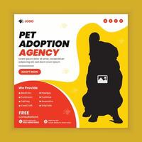 Pet adopt and health care service social media post design or pet business web square post banner template vector