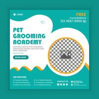 Pet academy social media post design or pet business web square post banner template vector