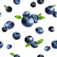 Blueberry seamless pattern on white background vector