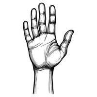 Hand Raised in Open Gesture - Simple Line Art vector