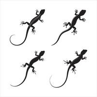 Clean Lizard Illustration Series vector