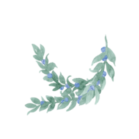 Watercolor hand drawing unpretentious twig of green leaves like laurel with berries, ribbon and bow Branch with berries. Sprout with leaves and berries. Greenery and berries. Hand drawn leaves png