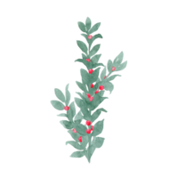 Unpretentious twig of green leaves like laurel with berries, ribbon and bow Branch with berries. Sprout with leaves and berries. Greenery and berries. Hand drawn leaves of Watercolor png
