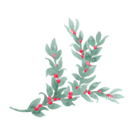 Watercolor unpretentious twig of green leaves like laurel with berries, ribbon and bow Branch with berries. Sprout with leaves and berries. Greenery and berries. Hand drawn leaves png
