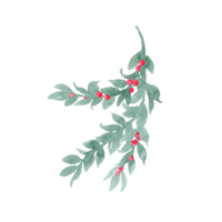 Watercolor clip art unpretentious twig of green leaves like laurel with berries, ribbon and bow Branch with berries. Sprout with leaves and berries. Greenery and berries. Hand drawn leaves png