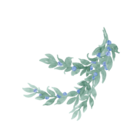 Hand drawing in watercolor unpretentious twig of green leaves like laurel with berries, ribbon and bow Branch with berries. Sprout with leaves and berries. Greenery and berries. Hand drawn leaves png