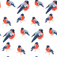 seamless pattern with bullfinches, three different birds Isolated for wrapping png