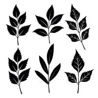 a set of black and white images of plants with leaves. vector