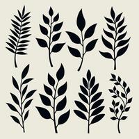 a collection of plants with black leaves and the word black on the bottom. vector