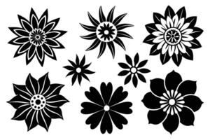 Set of Black and White Floral Designs vector
