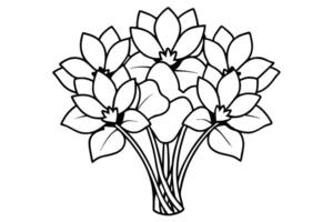 Black and white line art drawing of a beautiful crocus bouquet. vector