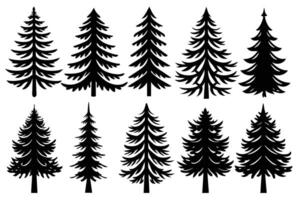 Silhouettes of Various Pine Trees vector