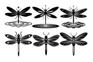 Set of butterflies vector
