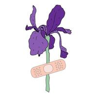 Iris flower under bandaid plaster, isolated on white background. Mental self care conceptual design. vector