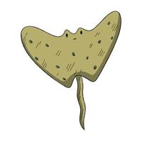 hand drawn colorful stingray character. under the sea collection element vector