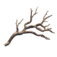 Twisted dry branch with smaller branches and textured surface png