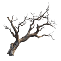 Bare Tree with Twisting Trunk and Sparse Long Branches Against Transparent Background png