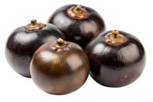 Black sapote health benefits of this unique fruit png