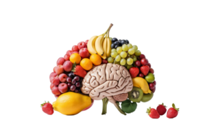 Brain with fruits improves memory png