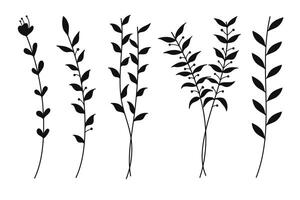 Silhouette Botanical Set with Tree Branches and Leaves. Illustration vector