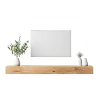Minimalist decor featuring plants and an empty canvas for creative expression. png