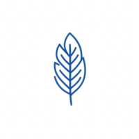 Stylized leaf illustration representing nature and sustainability concepts. png