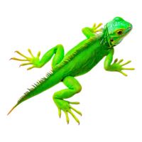 Vibrant Green Lizard Resting on a Branch in Natural Habitat png