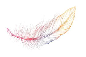 Vibrant multicolored feather on transparent background, symbolizing lightness and creativity. Perfect for art and design themes in stock photography. png
