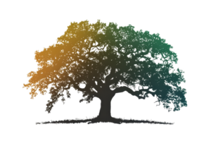 Vibrant illustration of a tree with multicolor leaves, symbolizing diversity and growth. Isolated on a transparent background for creative use. png