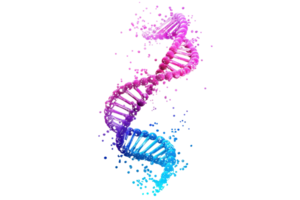 Colorful 3D digital rendering of DNA helix, symbolizing genetics and biotechnology innovation, with vibrant gradients and artistic flair. png