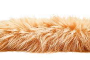 Close-up of soft, fluffy orange fur texture, capturing the delicate details and vibrant color suitable for backgrounds and design use. png