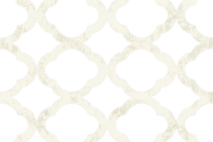 Elegant white lattice pattern with transparent background, creating a classic and stylish decorative motif for design and architecture projects. png