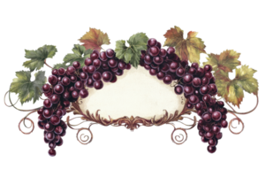 elegant Jahrgang Rahmen mit Traube Cluster und Blätter, perfekt zum Einladungen, Wein Etiketten, oder dekorativ Projekte. png
