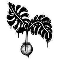 Graffiti monstera leaf icon isolated on white background. Painted spray elements vector