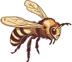 Buzzing bee pollinates flower insect isolated png