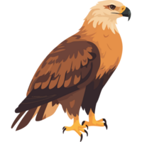 Flying hawk with sharp talons, a symbol of freedom isolated png