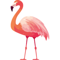 exotic flaming bird standing character isolated png