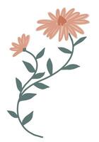 Clipart of simple chamomile flower. Hand drawn abstract botanical illustration isolated on white. vector