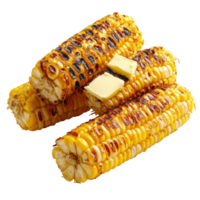 Grilled Corn on Cob on transparent background. png