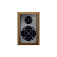 Music speaker with two speakers in a wooden case isolated on a white background vector
