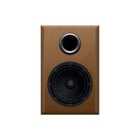 music speaker with speakers in a wooden case isolated on a white background vector