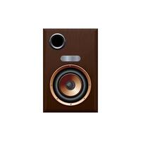 speaker with speakers in a wooden case on a white background vector