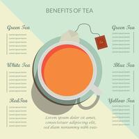 Infographic of a cup of tea in the center of the images and surrounded by different types of tea vector