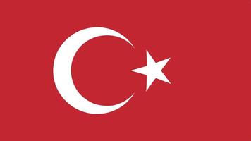 Flat Turkey Flag Design with Crescent Moon Emblem vector